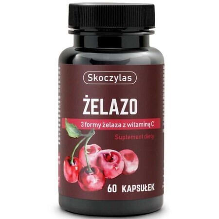 Skoczylas Fer 3 formes avec vitamine C 60 gélules