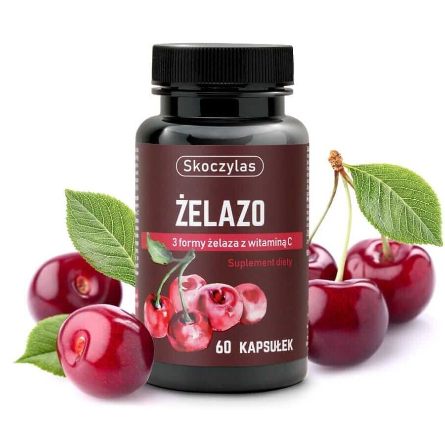 Skoczylas Fer 3 formes avec vitamine C 60 gélules