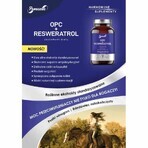 OPC + Panaseus resveratrol (430mg) 50 gélules