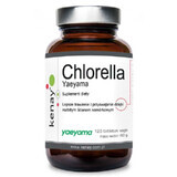 Chlorella Yaeyama (pereți celulari rupți) 120 comprimate Kenay