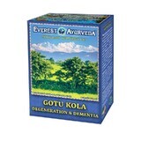 Thé ayurvédique GOTU KOLA Dégénérescence des fonctions cérébrales 100g Everest Ayurveda