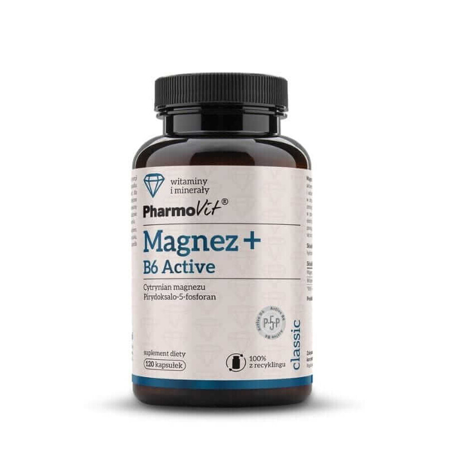 Magnesium + B6 Actief 120 capsules Pharmovit Classic