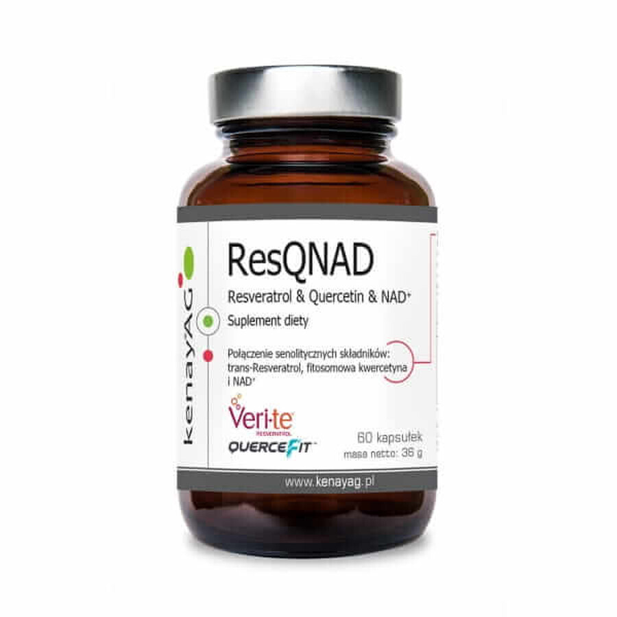 ResQNAD Resveratrol & Quercetin & NAD+ (resveratrol, quercetin, NAD) (60 capsules) Kenay