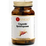 Facteurs Lipotropes 90 gélules Yango