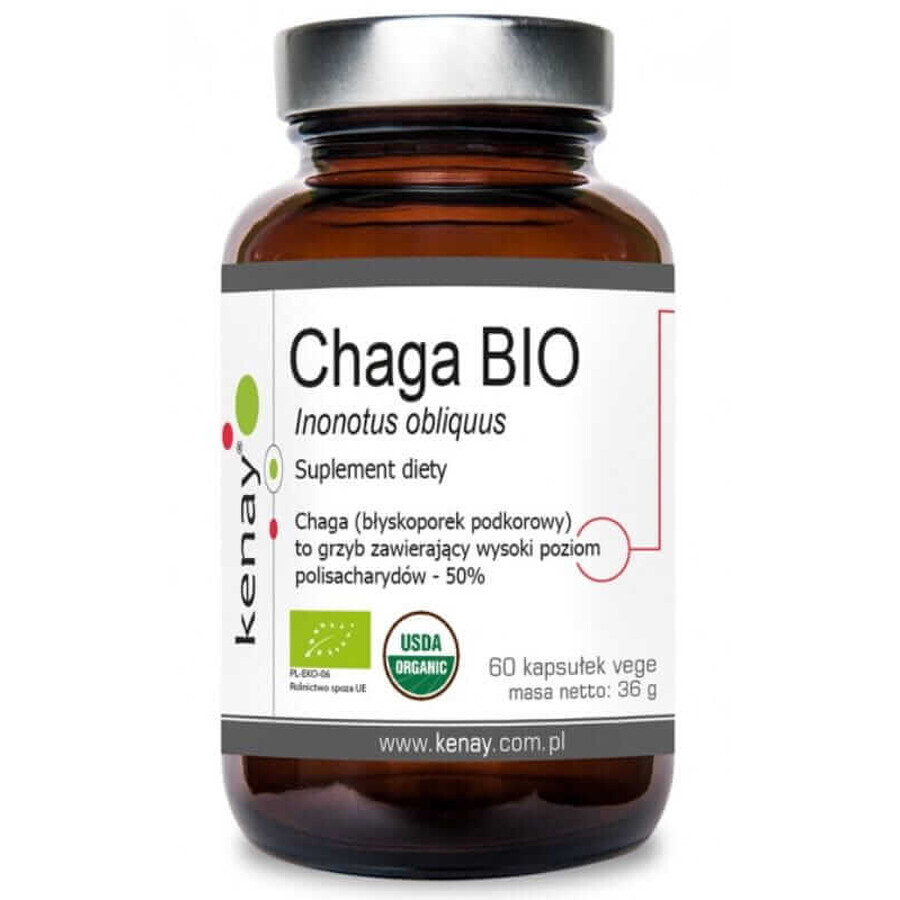 CHAGA BIO Inonotus obliquus 60 gélules Kenay