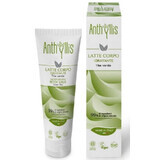 Moisturizing body milk with green tea and organic shea butter 150ml Anthyllis