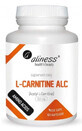 L-carnitine ALC carnitine 500mg 100 g&#233;lules, Aliness