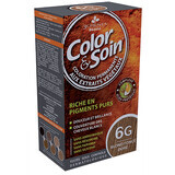 Colour & Soin coloration des cheveux (blond foncé doré) 6G 135ml