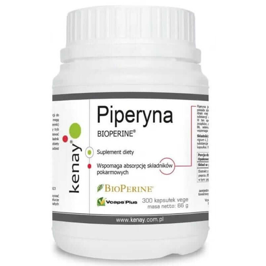 Piperine BIOPERINE - 300 caps Sabinsa Kenay