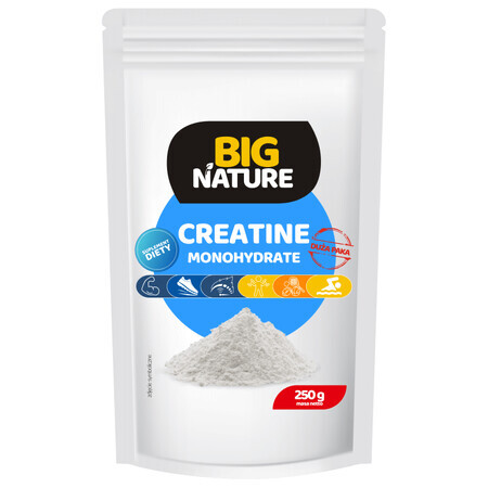 Créatine monohydrate 250 g Big Nature