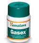 Gasex Digestion 100 comprim&#233;s Himalaya