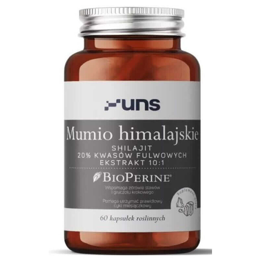 Himalaya mummy 60 gélules UNS