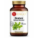 Brahmi (Bacopa Monnieri) extracto 50% bacoside 100 cápsulas YANGO