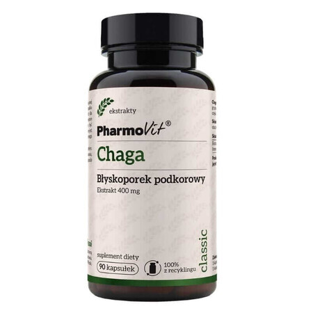 Chaga 4:1 - 90 gélules ( Spinneret subcortical) Pharmovit Classic