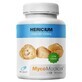 Hericium (coneflower) 30% polysaccharide 90 g&#233;lules MycoMedica