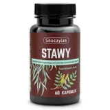 Skoczylas Joints 60 capsules