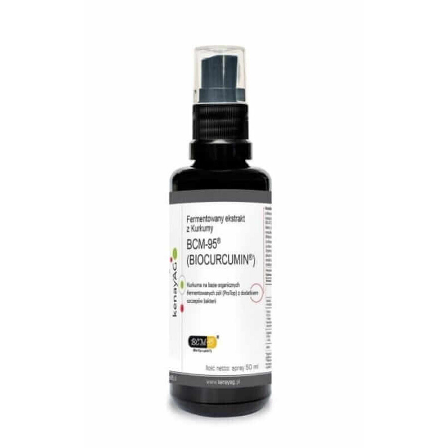 Turmeric BCM-95 BIOCURCUMIN - fermented extract - spray 50 ml, KenayAG