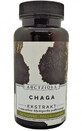 Chaga 50g Archangelis Roxanthus et amis