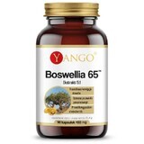 Boswellia 65 (65% d'acides boswelliques)90 gélules, Yango