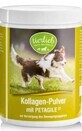 Collag&#232;ne avec Petagile&#174; pour chiens et chats peptides de collag&#232;ne 400 g Tierlieb Sanct Bernhard