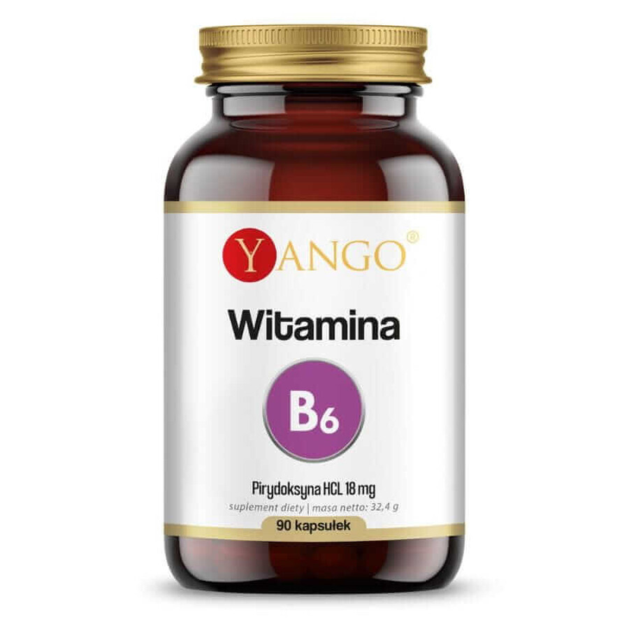 Vitamine B6 (pyridoxine HCL) 90 gélules Yango