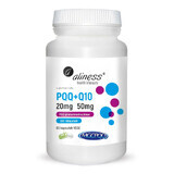 PQQ MGCPQQ® 20 mg + Coenzyme Q10 50 mg (60 gélules) Aliness