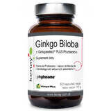 Ginkgo Biloba with Ginkgoselect Phytosome 60 capsules, Kenay