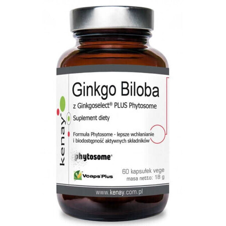 Ginkgo Biloba with Ginkgoselect Phytosome 60 capsules, Kenay