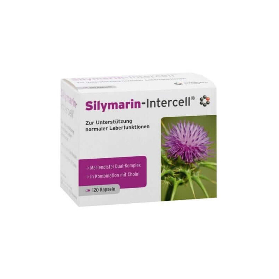 Silymarine-Intercell (soutien du foie) 120 gélules, Intercell