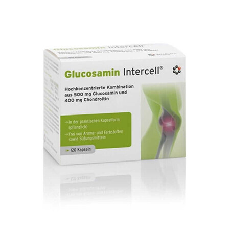 Glucosamine-Intercell 120 gélules Intercell