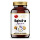 Baikalin Active+ (gingembre, curcuma) 90 gélules Yango