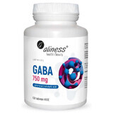 GABA (acide gamma amino butyrique) 750 mg x 100 gélules Aliness