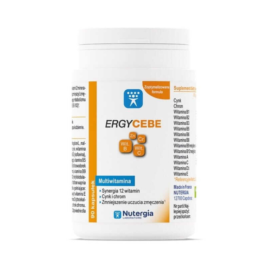 Ergycebe Multivitamin Nutergia (Synergie von 12 Vitaminen, Zink und Chrom) 90 Kapseln