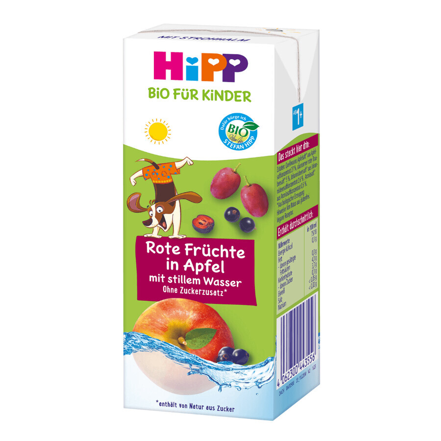 Organic apple and red fruit juice with plain water, 200 ml, Hipp