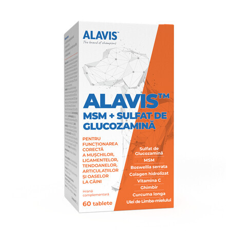 MSM + sulfate de glucosamine pour chiens, 60 comprimés, Alavis