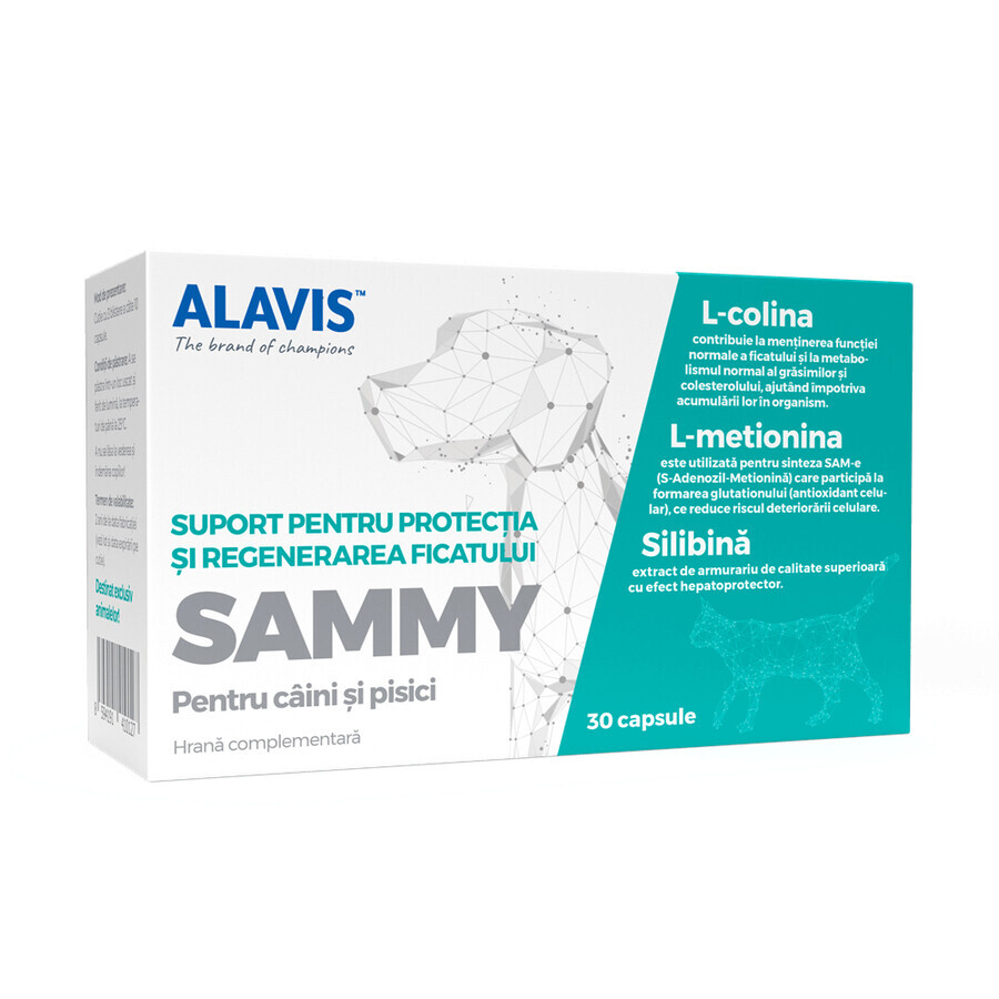 Supplements for dogs and cats Sammy, 30 capsules, Alavis