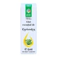 Huile essentielle de coriandre, 5 ml, Divine Star