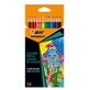 Crayons de couleur Intensity, 12 pi&#232;ces, BIC