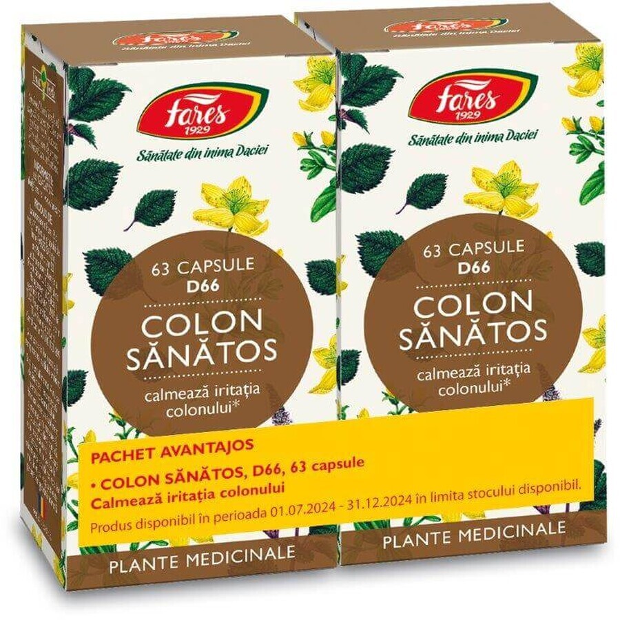 Colon Sanatos Pack, 2x63 gélules, Fares