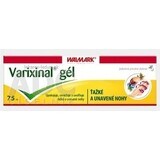 WALMARK Varixinal gel 1×75 ml, gel de massage pour les pieds lourds et fatigués