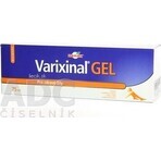 WALMARK Varixinal gel 1×75 ml, gel da massaggio per piedi pesanti e stanchi