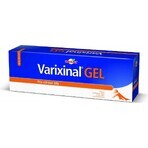 WALMARK Varixinal gel 1×75 ml, gel da massaggio per piedi pesanti e stanchi