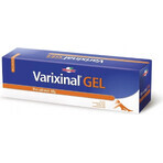 WALMARK Varixinal gel 1×75 ml, gel da massaggio per piedi pesanti e stanchi