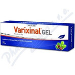 WALMARK Varixinal gel 1×75 ml, gel da massaggio per piedi pesanti e stanchi