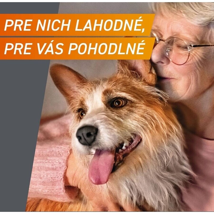 FRONTPRO® comprimés antiparasitaires à croquer pour chiens (4-10 kg) 1×3 tbl, comprimés antiparasitaires