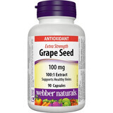 WEBBER NATURALS Grape Seed Extra Strong 100 mg 1×90 cps, dietary supplement