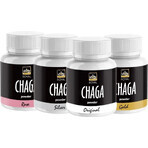 Royal Chaga Siberian Chaga Powder Extract 1×90g, complément alimentaire