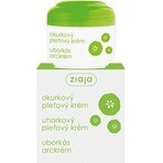 Ziaja - traitement du visage à l'extrait de pulpe de concombre pour les peaux grasses et mixtes 1×50 ml, crème pour le visage