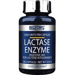 Scitec Nutrition Lactase Enzyme 1×100 cps, dietary supplement