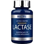 Scitec Nutrition Lactase Enzyme 1×100 cps, dietary supplement